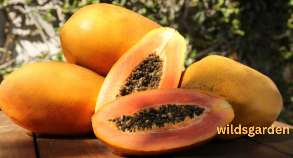 fruits that look like mango