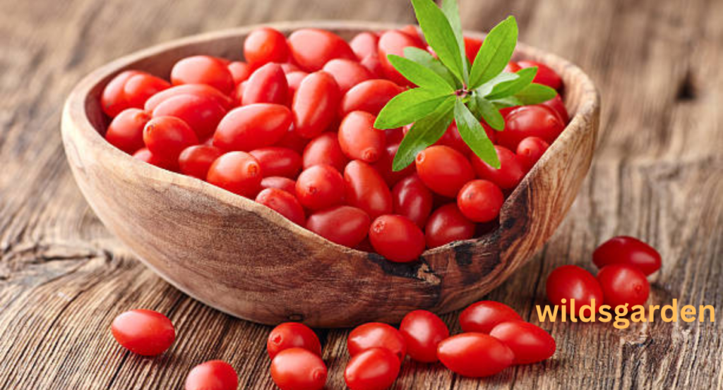 Fruits that look Like A Tomato