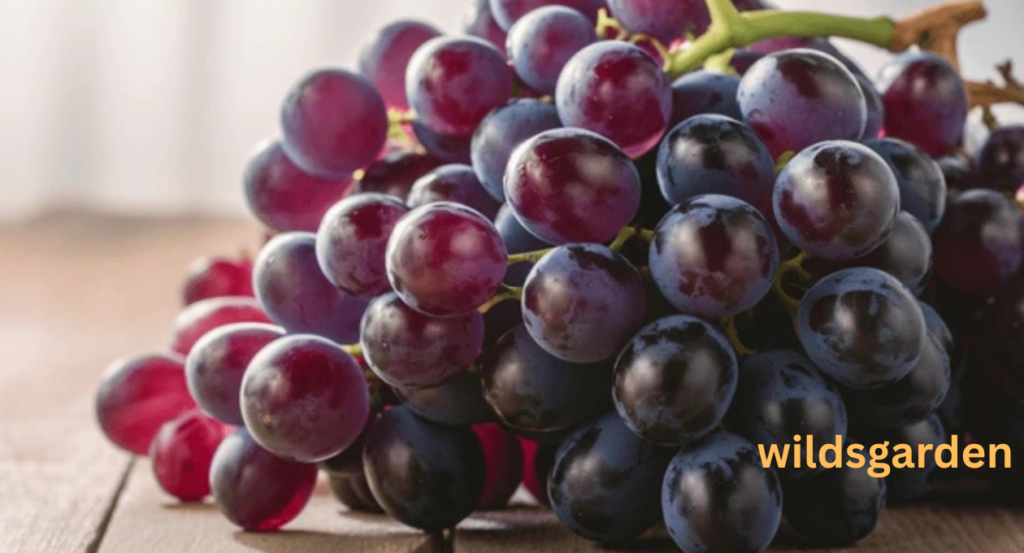 Why Are Grapes So Expensive