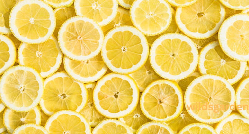 lemon shortage