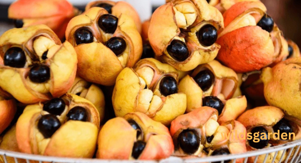 fruits that look like lychee 