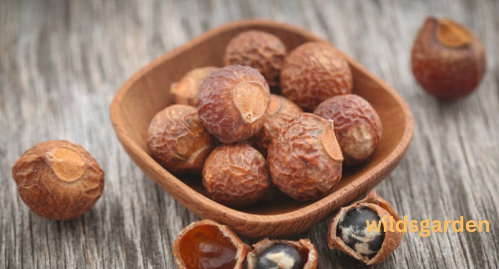 fruits that look like lychee 