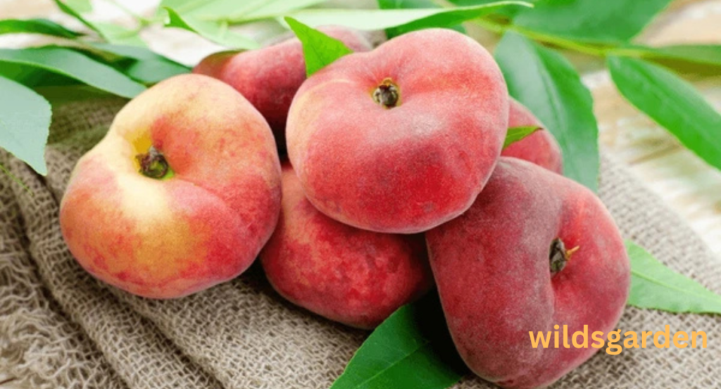 fruits that look like peaches