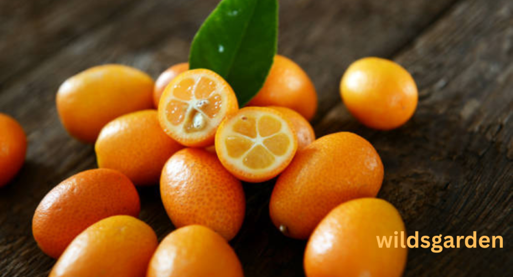 fruit that looks like orange