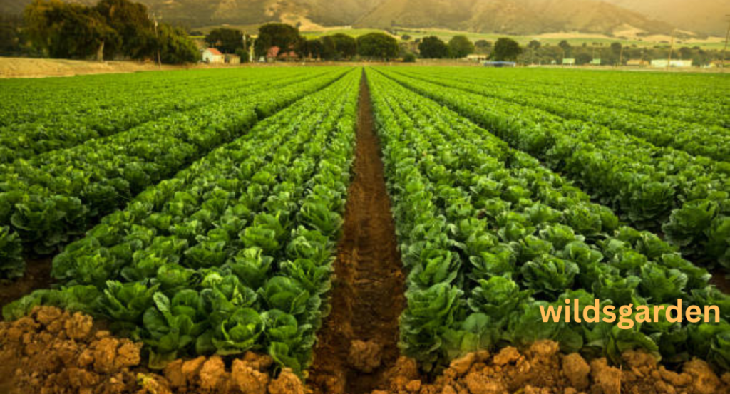 california farmland trust