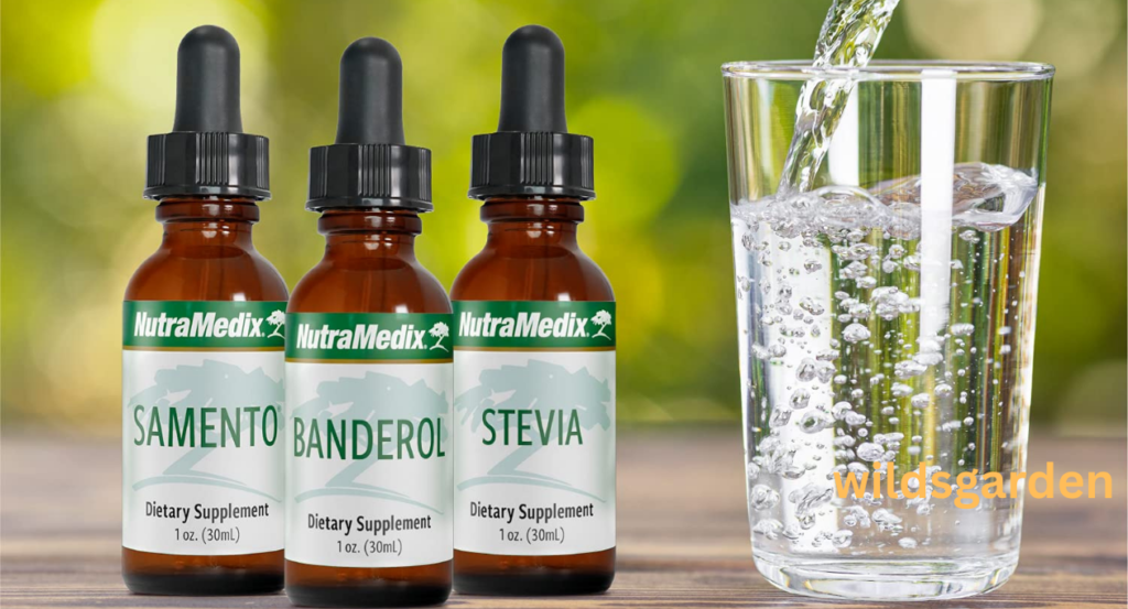 cryptolepis benefits