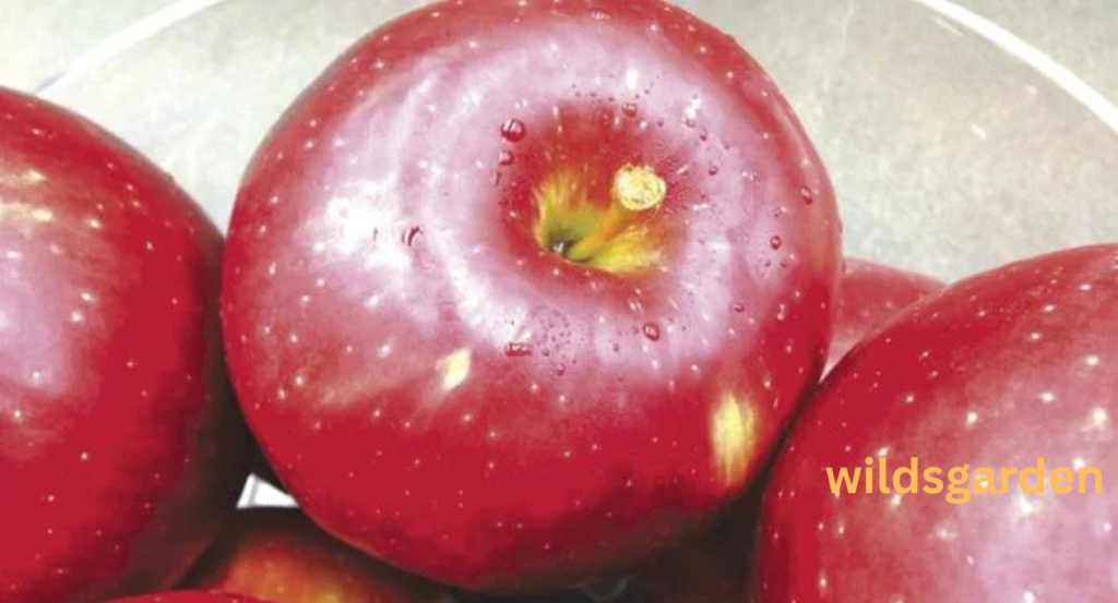 Cosmic Crisp Apple Lawsuit