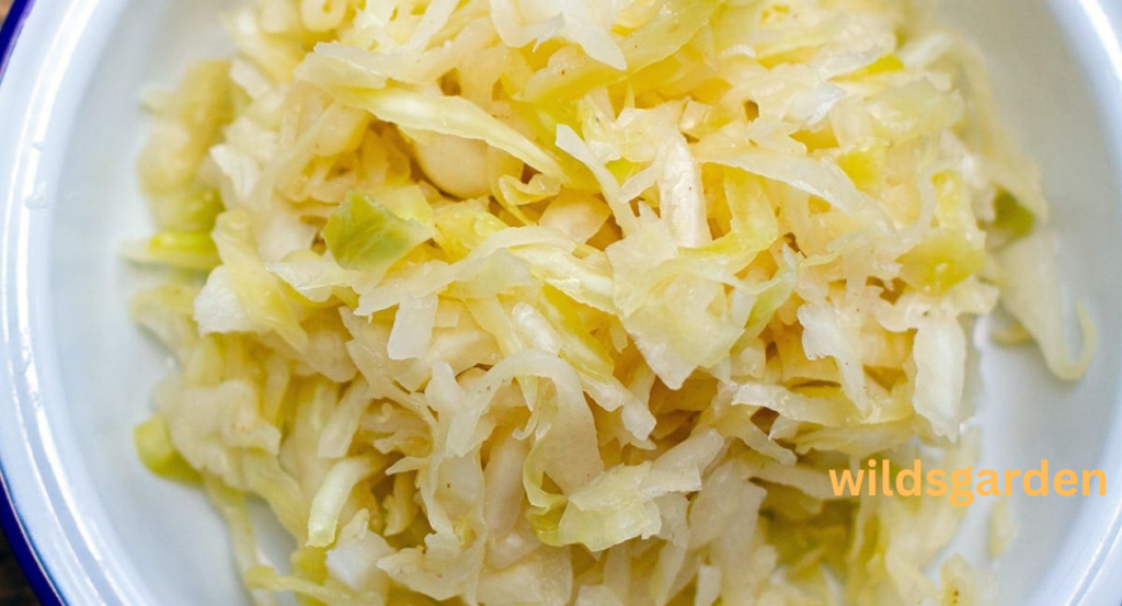 can chickens eat sauerkraut