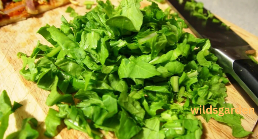 can chickens eat arugula