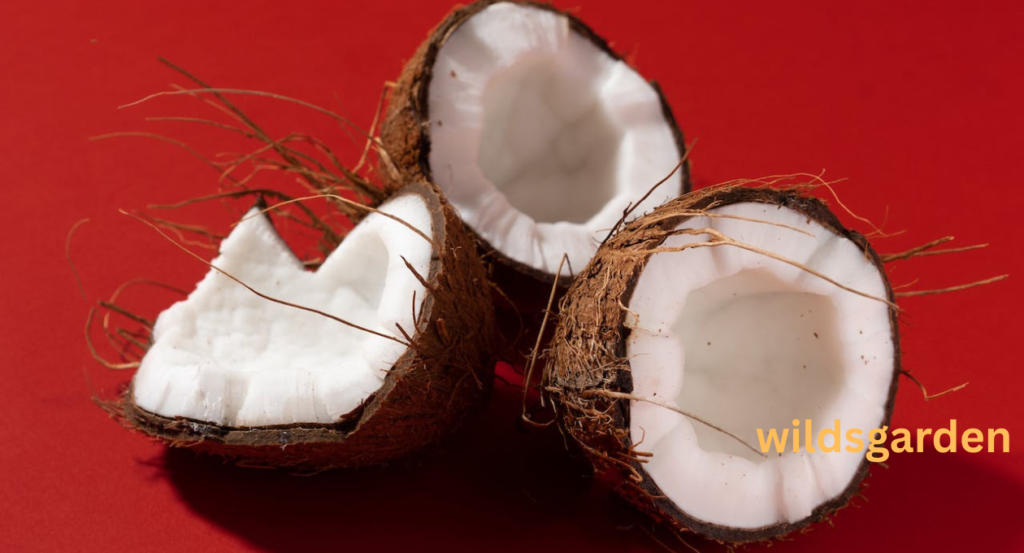 Can Chickens Eat Coconut