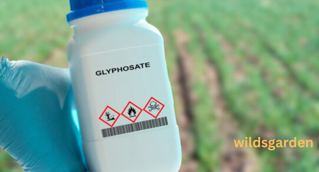 triclopyr vs glyphosate