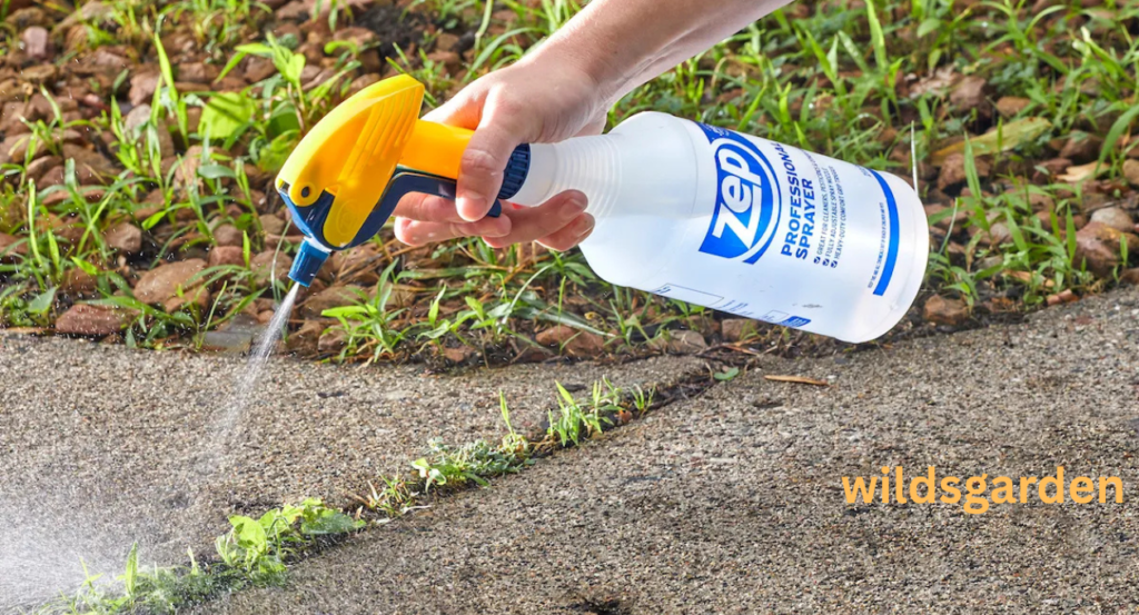 Does Epsom Salt Kill Weeds